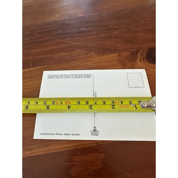 Vintage Butterfly Wings Camellia Postcard – Descanso Gardens, La Cañada Flintrid - Picture 9 of 10